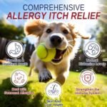 Dog Allergy Chews 200 Treats, Dog Allergy and Itching Skin Relief Bites Immune Support Dogs Probiotics for Yeast, Itchy Skin and Itchy Ears Anti Itch Licking Paws Treatment for Dogs Chicken Flavor - Image 2