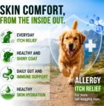 Dog Allergy Relief Chews - Skin Health & Anti-Itch Supplement with Omega-3 - Image 2
