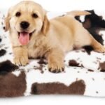 Dog Bed Crate Pad Pet Cushion Crate Mat Puppy Bed for Small Dogs Soft Fluffy Kennel Pad for Dog Crate, Anti-Slip Comfy
