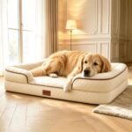 Dog Bed with Reusable Potty Pad - 44.5" x 33.5" x 6.7" Beige