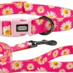 Dog Collar and Leash Set, Cute Pink Daisy Pattern, Polyester Material, 5ft Leash, for Small Dogs.(S, Daisy Set)