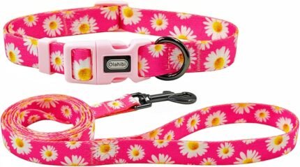 Dog Collar and Leash Set, Cute Pink Daisy Pattern, Polyester Material, 5ft Leash, for Small Dogs.(S, Daisy Set)