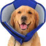 Dog Cone Soft Cone for Dogs to Stop Licking