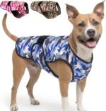 Dog Cooling Vest, 2-Layer Microfiber Cooling Jacket, Blue, L