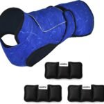 Dog Cooling Vest + 3 Ice Packs – 2-Layer Evaporative Cooling Jacket with High Collar, UV Protection & Size-Matched Ice Pack – Cooling Vest for Dogs for Hot Weather (Blue Aqua, X-Small)