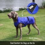 Dog Cooling Vest + 3 Ice Packs – 2-Layer Evaporative Cooling Jacket with High Collar, UV Protection & Size-Matched Ice Pack – Cooling Vest for Dogs for Hot Weather (Blue Aqua, X-Large) - Image 2