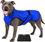 Dog Cooling Vest with Ice Pack & Cooling Collar, Blue Aqua, L