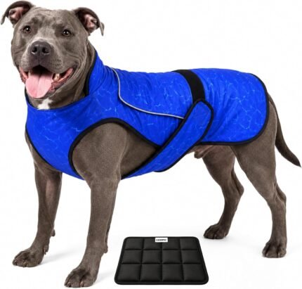 Dog Cooling Vest with Ice Pack & Cooling Collar, Blue Aqua, L