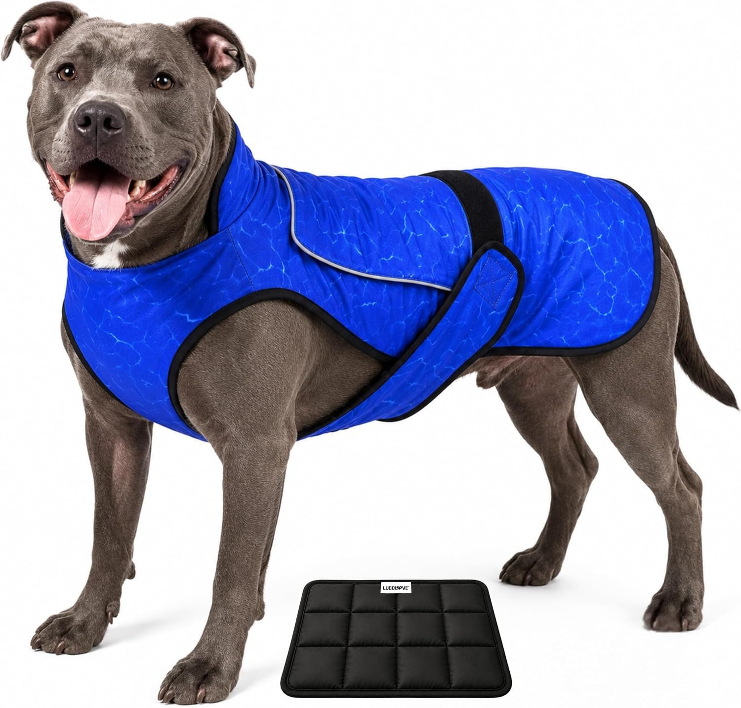 Dog Cooling Vest with Ice Pack & Cooling Collar, Blue Aqua, L Dog Cooling Vest with Ice Pack & Cooling Collar, Blue Aqua, L