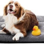 Dog Crate Pad Washable Dog Bed for Crate Extra Large Cozy Mat 48-Inch Gray