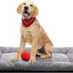 Dog Crate Pad Washable Dog Bed for Crate Medium Cozy Mat 36-Inch Gray