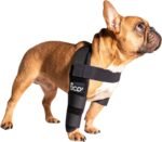 Dog Elbow Brace for Front Right Leg - Elbow Dysplasia & Arthritis Support, Vet Approved, Adjustable with Removable Splints, Orthopedic Dog Sleeve for Injuries & Recovery (X Small)