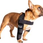 Dog Elbow Brace for Front Right Leg – Elbow Dysplasia & Arthritis Support, Vet Approved, Adjustable with Removable Splints, Orthopedic Dog Sleeve for Injuries & Recovery (X Small)