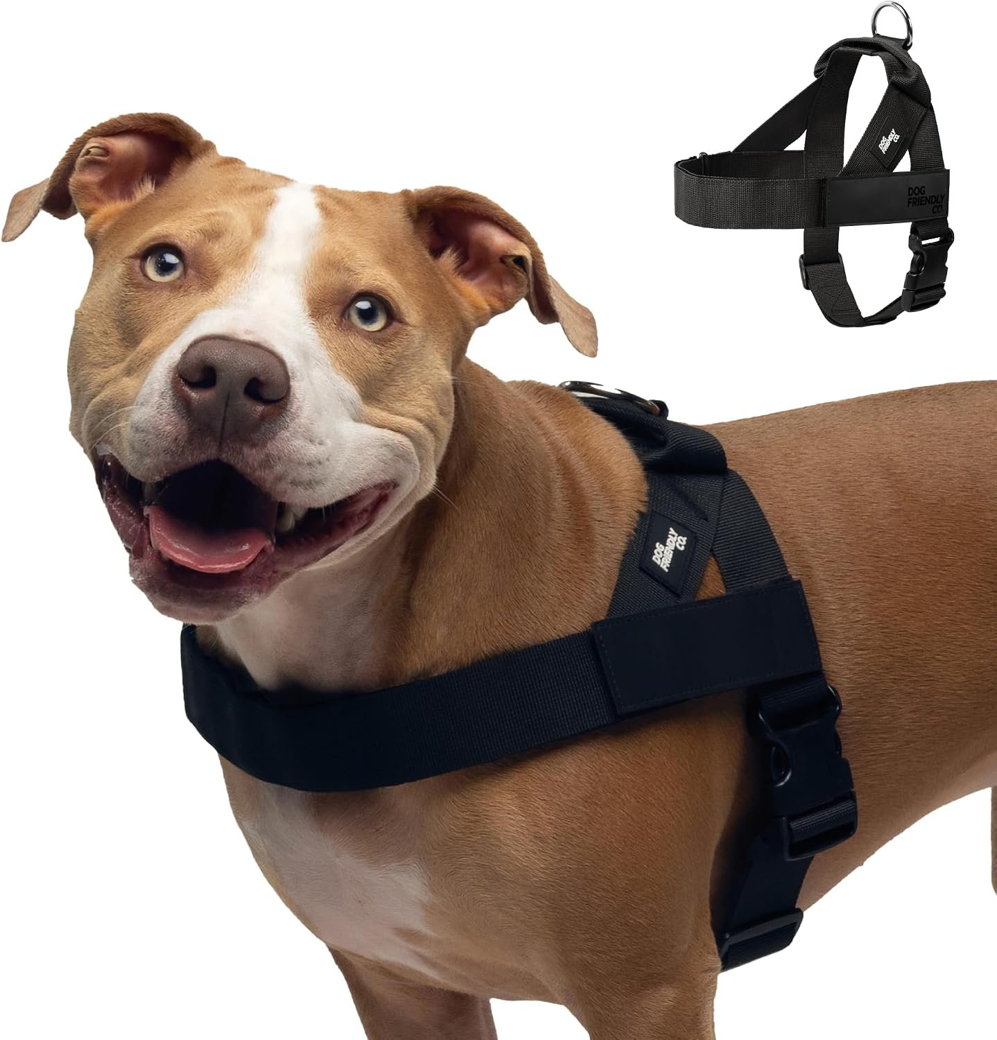 Dog Friendly Co. Dog Harness for Large Sized Dogs (Black, Extra Large) Dog Friendly Co. Dog Harness for Large Sized Dogs (Black, Extra Large)
