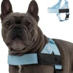 Dog Friendly Co. Dog Harness for Medium Dogs (Sky Blue, Medium)
