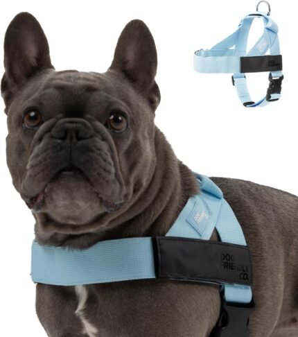Dog Friendly Co. Dog Harness for Medium Dogs (Sky Blue, Medium)