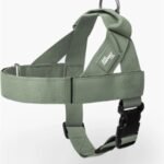 Dog Friendly Co. Dog Harness for Small Dogs, Adjustable (Khaki, Small)