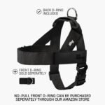 Dog Friendly Co. Dog Harness for Medium Sized Dogs (Burgundy, Medium) - Image 2