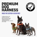Dog Friendly Co. Dog Harness for Small Dogs, Adjustable (Navy, Extra Small) - Image 2