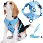 Dog Harness Small Sized Dog Pet Vest with Leash Set Blue M
