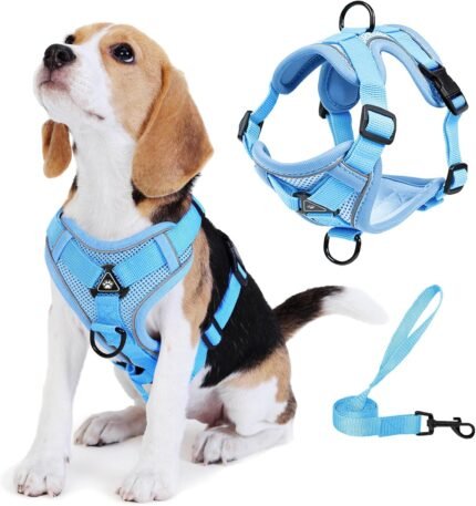 Dog Harness Small Sized Dog Pet Vest with Leash Set Blue M