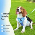 Dog Harness Small Sized Dog Pet Vest with Leash Set Blue M - Image 2