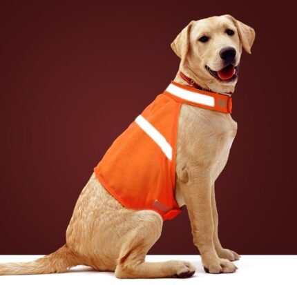 Dog Jacket High Visibility Safety Reflective Dog Vest for Small Medium Large Dogs (Medium, Orange)