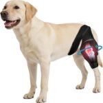 Dog Knee Brace for ACL CCL Support, Hind Leg Mobility Support