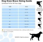 Dog Knee Brace for ACL CCL Support, Hind Leg Mobility Support - Image 2