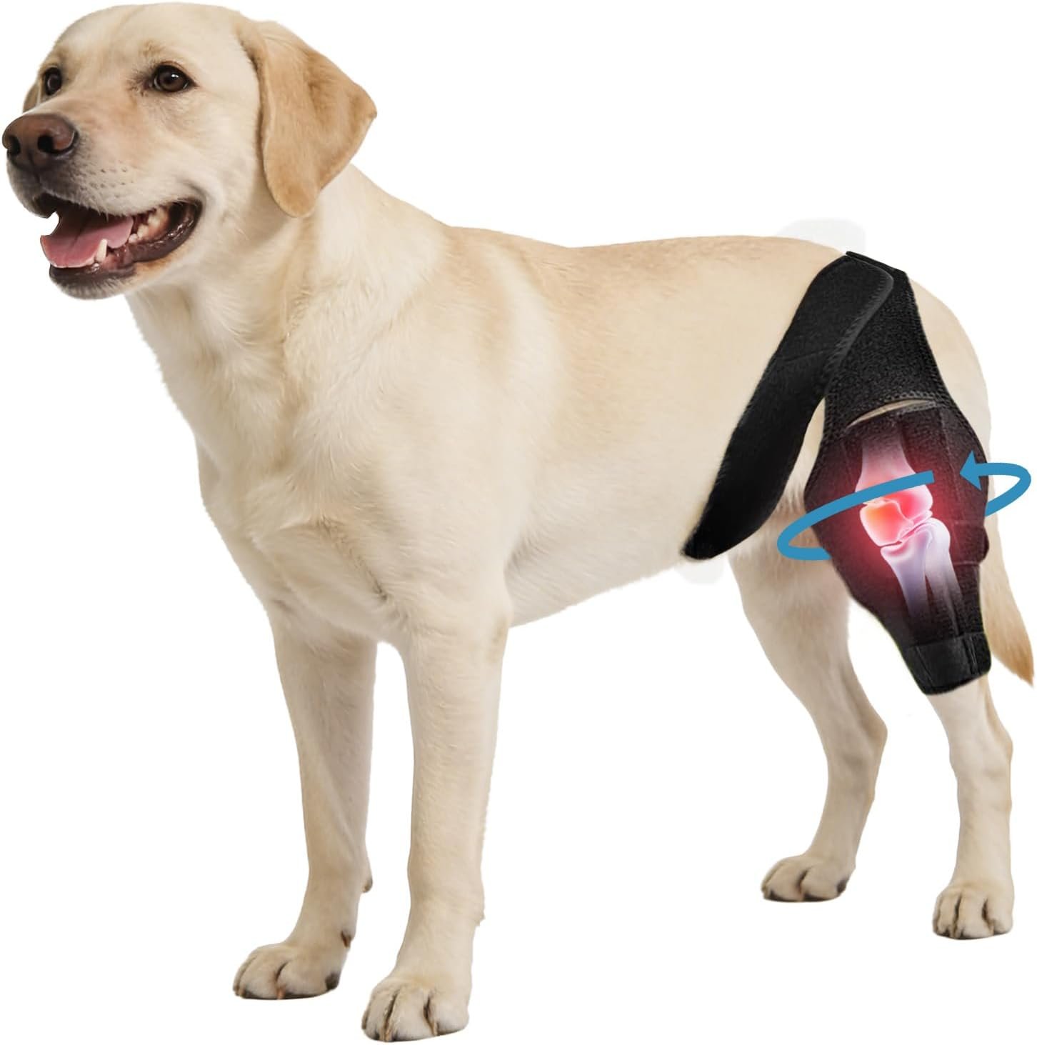 Dog Knee Brace for ACL CCL Support, Hind Leg Mobility Support Dog Knee Brace for ACL CCL Support, Hind Leg Mobility Support
