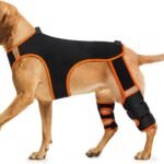 Dog Knee Brace for Back Leg, ACL/CCL Tear Arthritis Hip Dysplasia Recovery