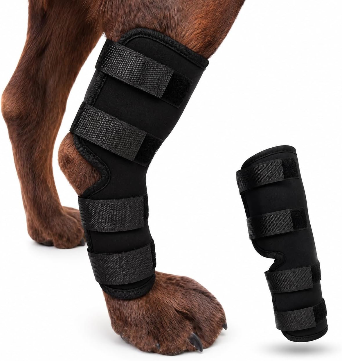 Dog Knee Brace for Hind Leg, Dog Hock Brace for Back Leg Support, Adjustable ACL CCL Brace for Dogs, Rear Leg Support for Joint Stability, Recovery & Mobility, Small Medium Large Dogs (Black, S) Dog Knee Brace for Hind Leg, Dog Hock Brace for Back Leg Support, Adjustable ACL CCL Brace for Dogs, Rear Leg Support for Joint Stability, Recovery & Mobility, Small Medium Large Dogs (Black, S)