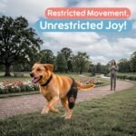 Dog Knee Brace for Hind Leg – Adjustable Joint Support for CCL/ACL Injuries, Arthritis & Post-Surgery Recovery – Stabilizing Orthopedic Brace for Dogs (Medium -Left) - Image 2
