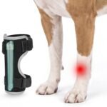 Dog Leg Brace for Hock Joint, Dog Splint Ankle for Arthritis, Sprains M