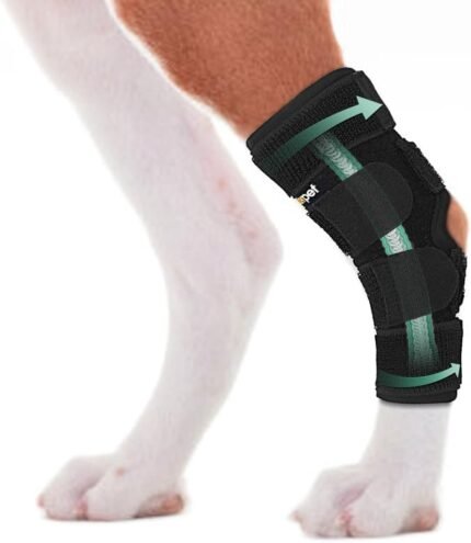 Dog Leg Brace for Rear Hock & Ankle, Canine Hind Leg Joint Compression Wrap for Torn ACL & CCL, Back Leg Injury and Sprain Protection, Helps with Elderly Dogs Activies and Arthritis (L)