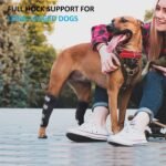 Dog Leg Braces for Back Legs,ACL Brace for Large Dogs Rear Legs, Joint Compression Warps Support for Hind Leg with Injury Sprain, Wound Care and Loss of Stability from Arthritis (1 Pair) - Image 2
