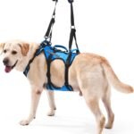 Dog Lift Harness for Large Dogs, Full Body Support Sling with 3 Handles and Shoulder Strap, Carrying Vest for Senior Dogs with Arthritis or Joint Injuries, Stairs Assistance, Blue, X-Large