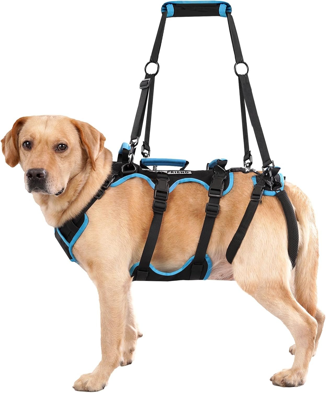Dog Lift Harness for Large Male Dogs, 2-in-1, Back Leg Support & Mobility Assistance for Senior Dogs, Post-Surgery Recovery Sling(Black, Large) Dog Lift Harness for Large Male Dogs, 2-in-1, Back Leg Support & Mobility Assistance for Senior Dogs, Post-Surgery Recovery Sling(Black, Large)
