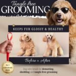 Dog Slicker Brush - Large - Protective Ball Tipped Pins Massages Pet Skin - Professional Groomer Dog Brush for Goldendoodle - Golden Retriever Brush (Large Size) - Image 2