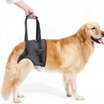 Dog Sling for Large Dogs Hind Leg Support, Adjustable Soft Padded Harness for Weak, Injured, or Disabled Back Legs, Helps Support Senior, Arthritic, and Mobility-Impaired Dogs (X-Large)