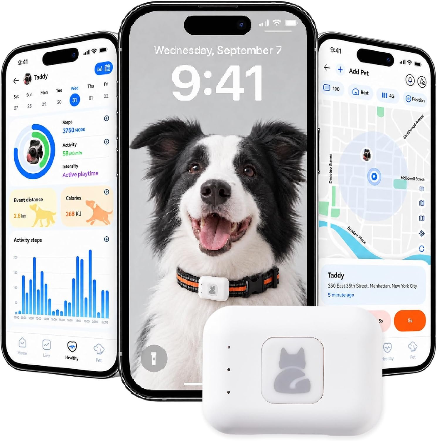 Dog Tracker GPS, Real Time Tracking & Virtual Fence 1-Year Service Included Dog Tracker GPS, Real Time Tracking & Virtual Fence 1-Year Service Included