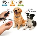 Dog Training Clicker and Whistle Set, 2-in-1 Positive Reinforcement Tool for Puppies, Dogs and Cats, Behavior Correction Device, Dog Training Tool Kit, Black - Image 2