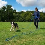 Dog Training Kit & Puppy Starter Set with 30ft Long Leash – Complete Recall System w/Magnetic Treat Pouch, Clicker, Collapsible Bowl & Waste Bags – Professional Tools (Navy Blue) - Image 2