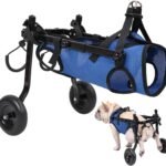 Dog Wheelchair for Back Legs, Adjustable Support for Small Dogs, M