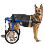 Dog Wheelchair for Back Legs, Dog Wheelchair with All-Terrain Tires & Durable Bearings, Large Dog Wheelchair for Back Legs,88.1-132.2 lbs(XXL)