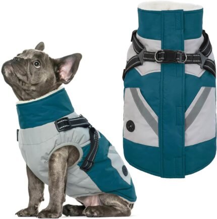 Dog Winter Coat Waterproof - Dog Coat with Harness Built in for Medium Dogs