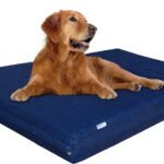 Dogbed4less Extra Large Orthopedic Memory Foam Dog Bed for Large Dogs with Durable Waterproof Internal Case, Removable Washable Denim Cover and Bonus Pet Bed Cover, 47X29X4 Fits 48X30 Dog Crate, Blue