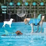 Dogcheer Dog Life Jacket, Cute Shark Dog Life Vest for Swimming Boating with Superior Buoyancy and Rescue Handle, Adjustable Puppy Floating Swim Vest for Small Medium Large Dogs - Pool Blue, XS - Image 2