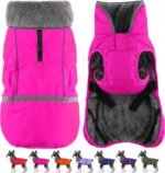 Dogcheer Warm Dog Coat, Waterproof Dog Winter Jacket with Leash Opening