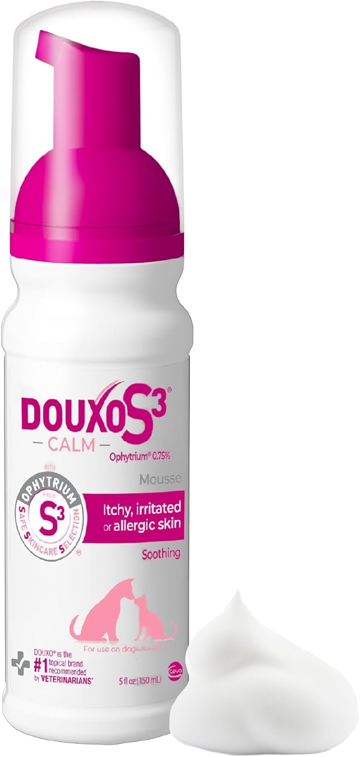 Douxo S3 Calm Itch Soothing Mousse for Dogs & Cats Douxo S3 Calm Itch Soothing Mousse for Dogs & Cats